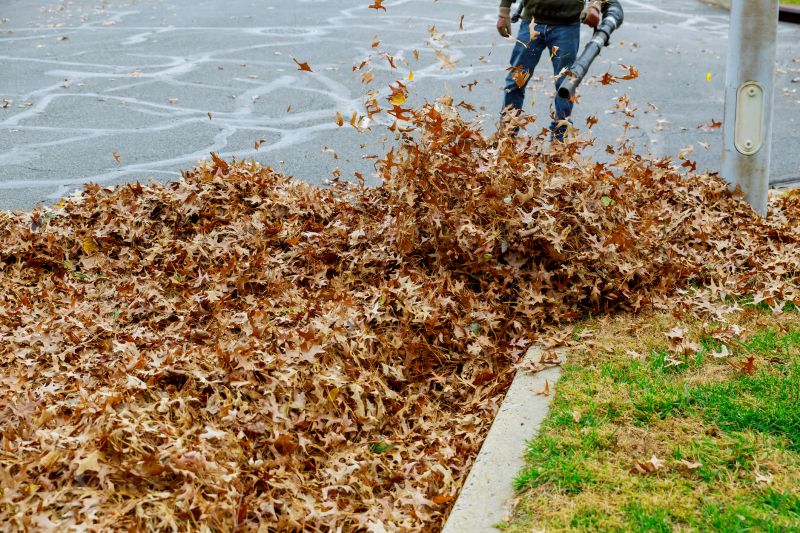 Seasonal Leaf Removal Service