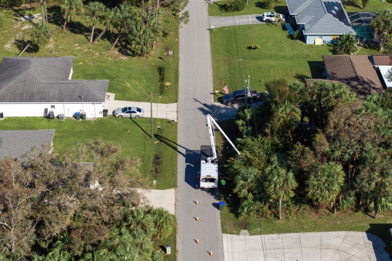 Tree Trimming Service detail