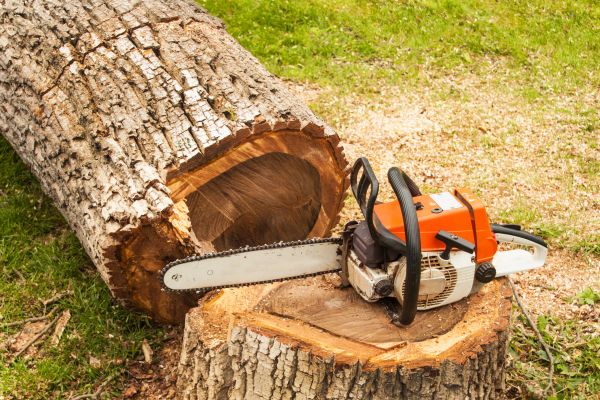 Tree Cutting Service in Columbus