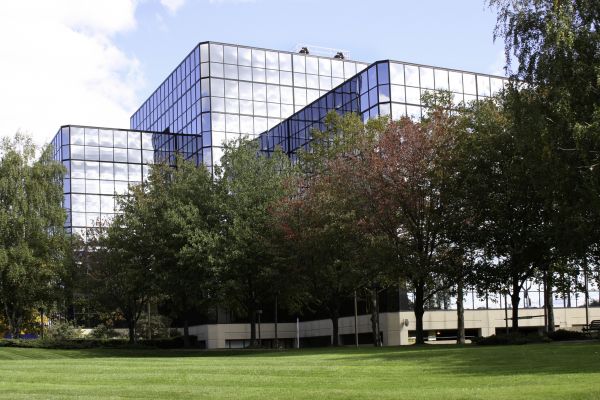 Commercial Tree Trimming in Columbus